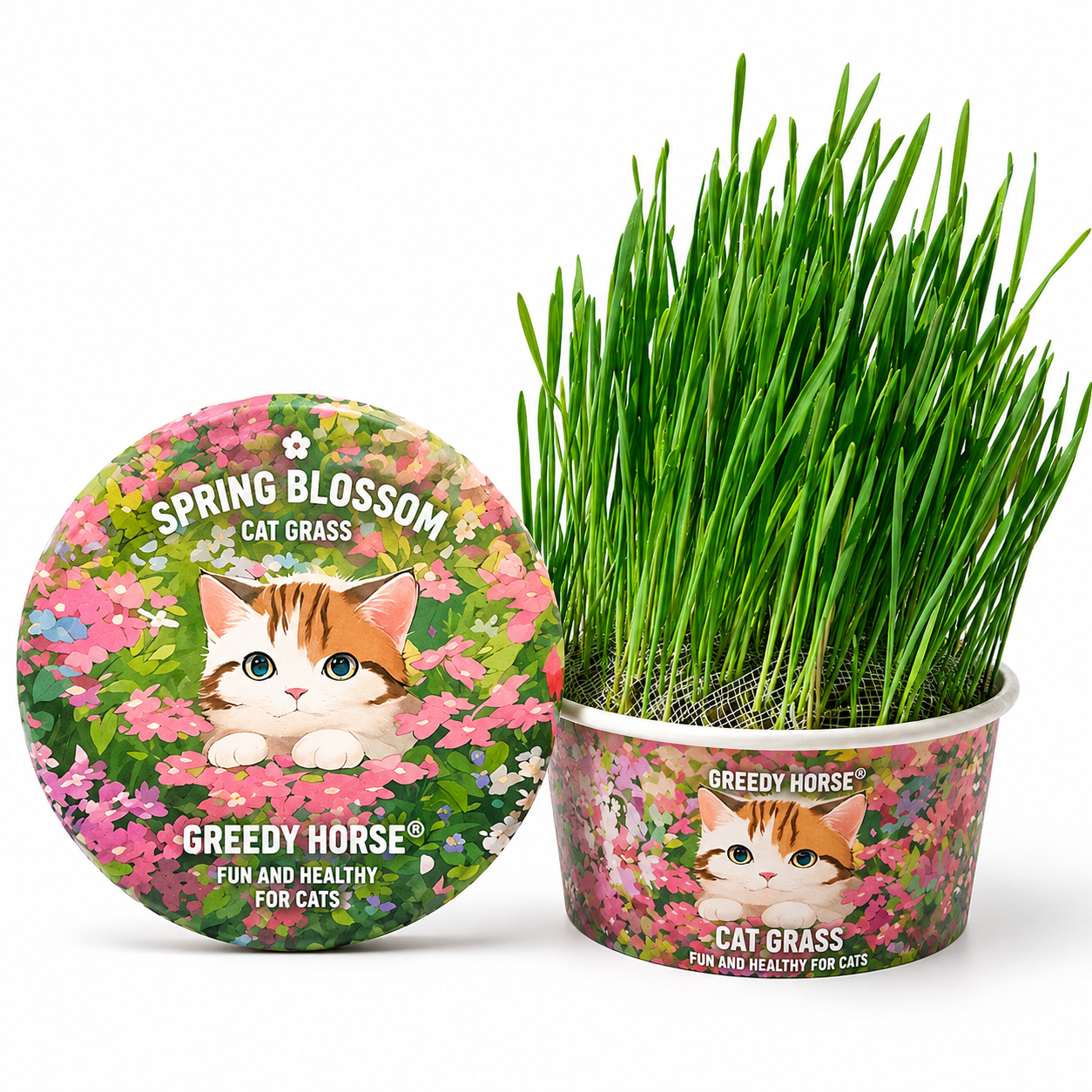 Petvique™ | FreshBloom Cat Grass Kit