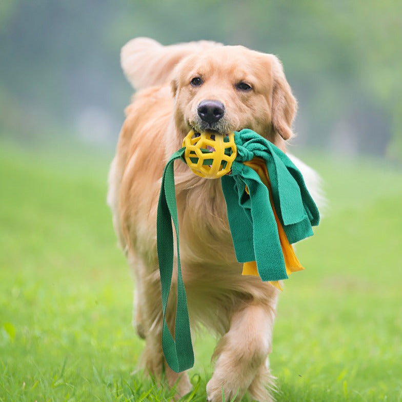 Pet Ball Leaking Food Sound Ball Dog Toy