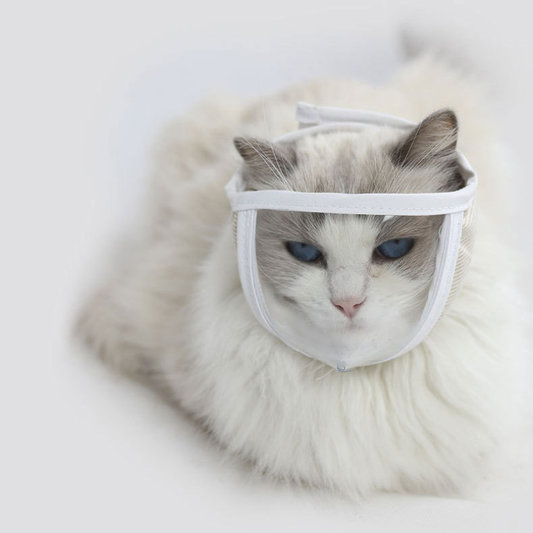 Transparent Anti-bite Mask for Cat Grooming