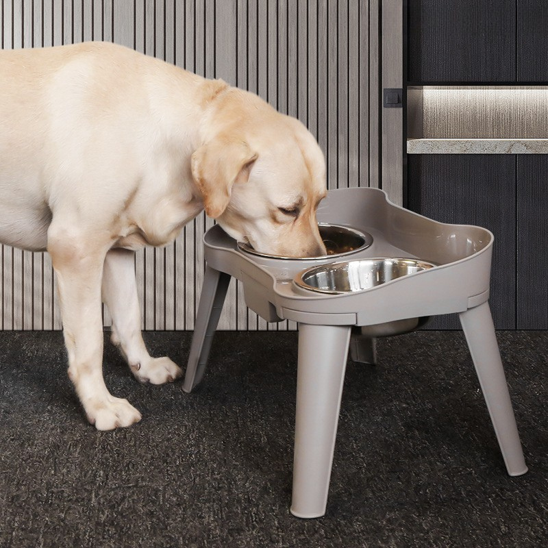 Stainless Steel Dog Bowl With Sturdy Stand