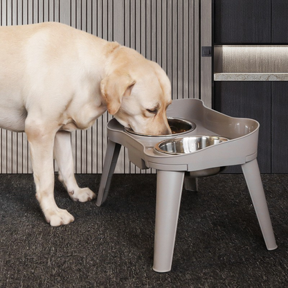 Stainless Steel Dog Bowl With Sturdy Stand