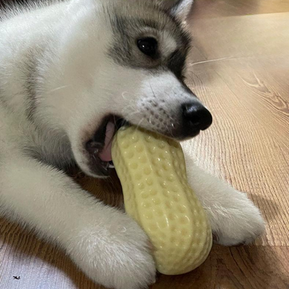 Dogs Peanut Squeaker Chew Toys