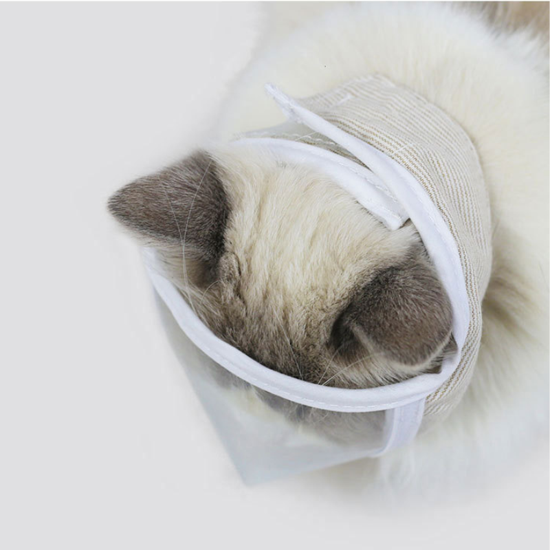 Transparent Anti-bite Mask for Cat Grooming