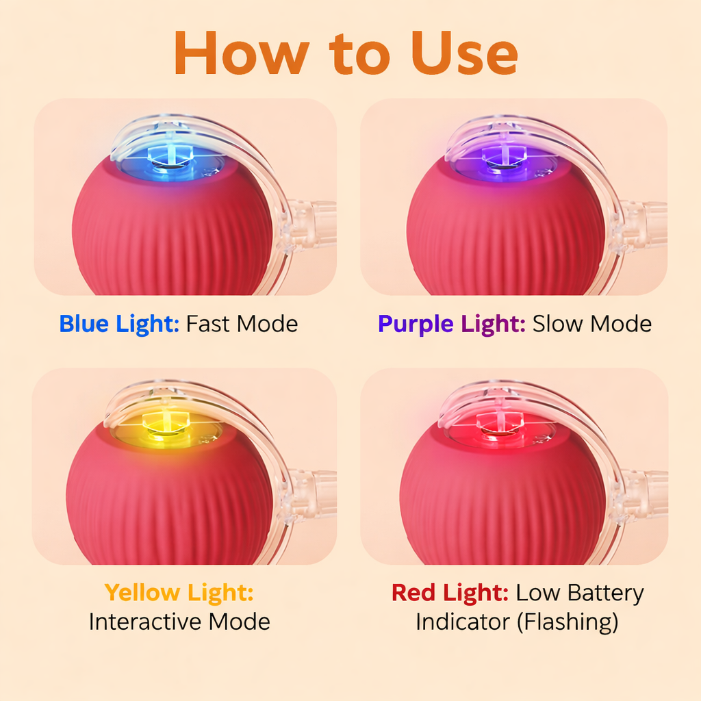 Automatic Interactive Cat Ball Toy with String – Durable & Anti-Bite Pet Toy