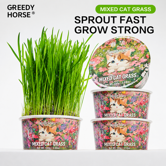 Petvique™ | FreshBloom Cat Grass Kit