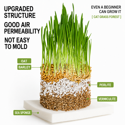 Petvique™ | FreshBloom Cat Grass Kit