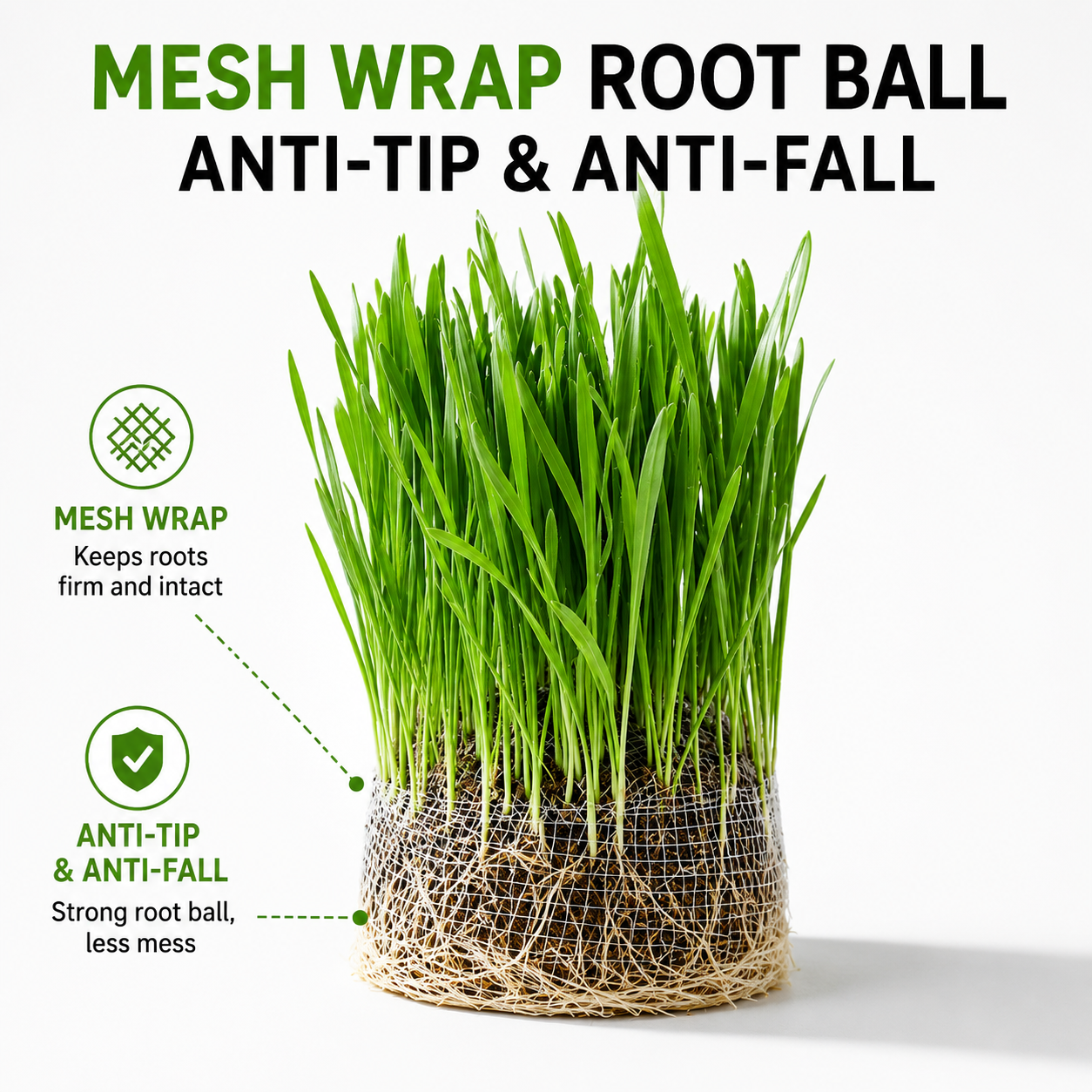Petvique™ | FreshBloom Cat Grass Kit
