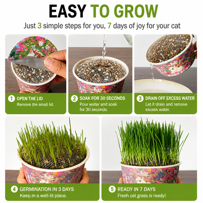 Petvique™ | FreshBloom Cat Grass Kit