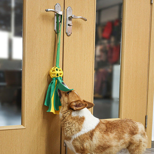 Pet Ball Leaking Food Sound Ball Dog Toy