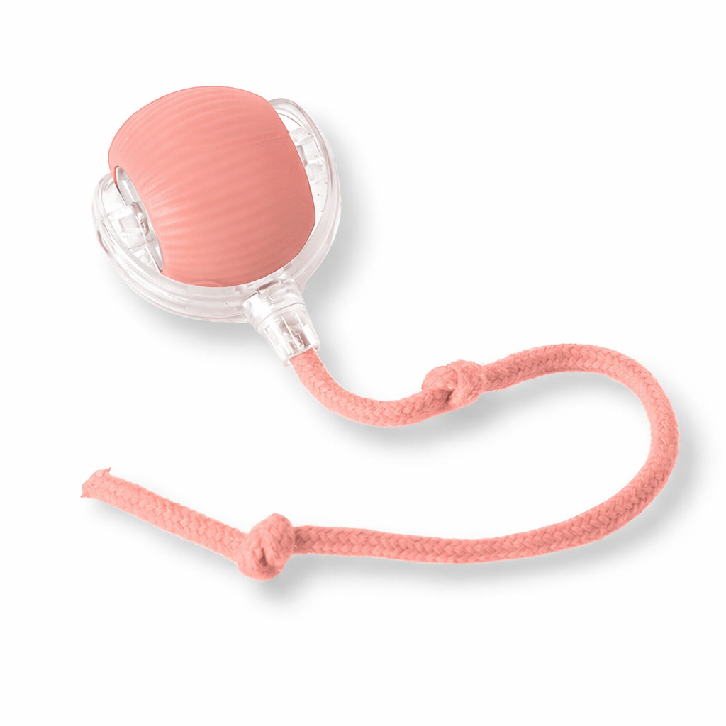 Automatic Interactive Cat Ball Toy with String – Durable & Anti-Bite Pet Toy