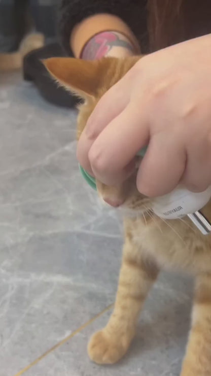 Interactive Laser Cat Collar Toy